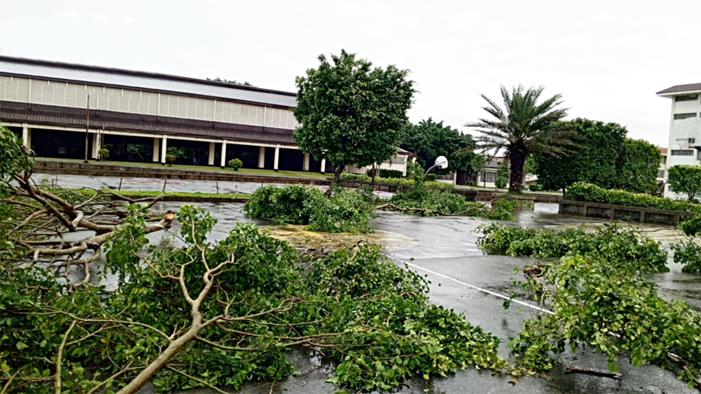 Sisters of Mary in Philippines make urgent appeal for Typhoon Kristine relief